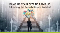 SEO Rank | Herbea