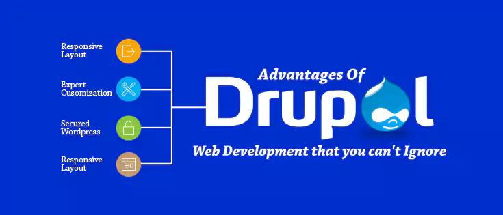 Drupal | Till It Clicks
